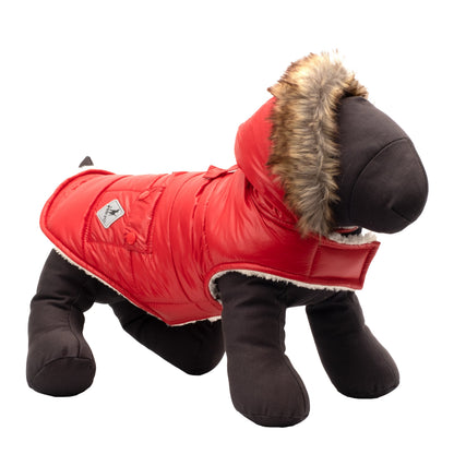 Park City Dog Jacket – Polyester, Pink, Red & Royal, Sizes XS–XXL