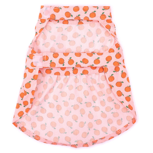 Peachy Keen Dog Dress – Polyester, Peach, Sizes XS–XXL