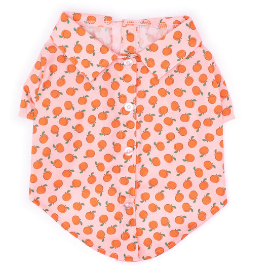Peachy Keen Dog Shirt – Polyester, Peach, Sizes XS–XXL