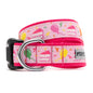 Birthday Dog Collar – Blue & Pink, Sizes XS–XL