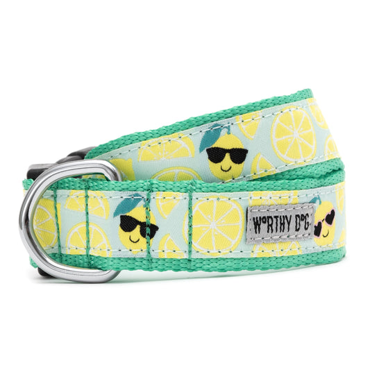 Lemons Dog Collar – Mint Green, Sizes XS–XL