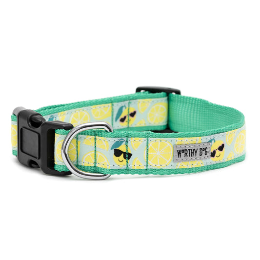 Lemons Dog Collar – Mint Green, Sizes XS–XL
