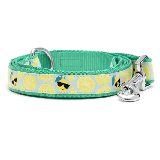 Lemons Dog Leash – Mint Green, Sizes S, L