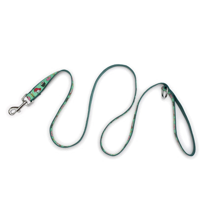 Sushi mint green ribbon and nylon dog leash, product view 3