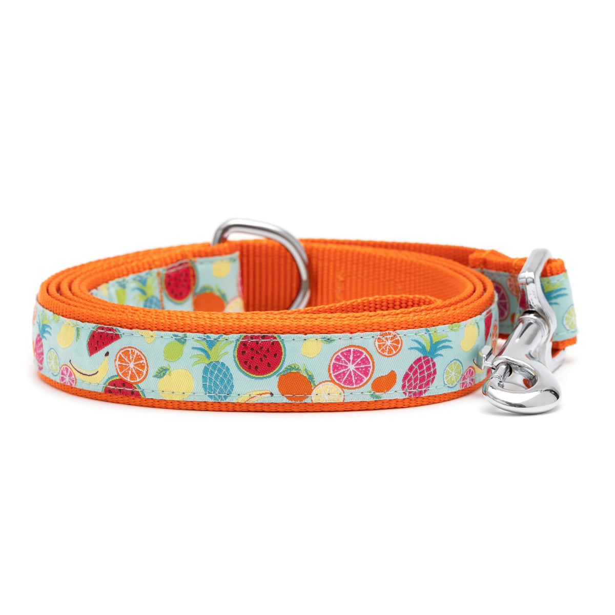 Tutti Frutti Dog Leash – Blue, Sizes S, L
