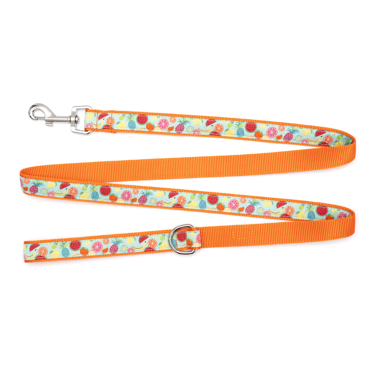 Tutti Frutti Dog Leash – Blue, Sizes S, L
