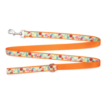 Tutti Frutti Dog Leash – Blue, Sizes S, L