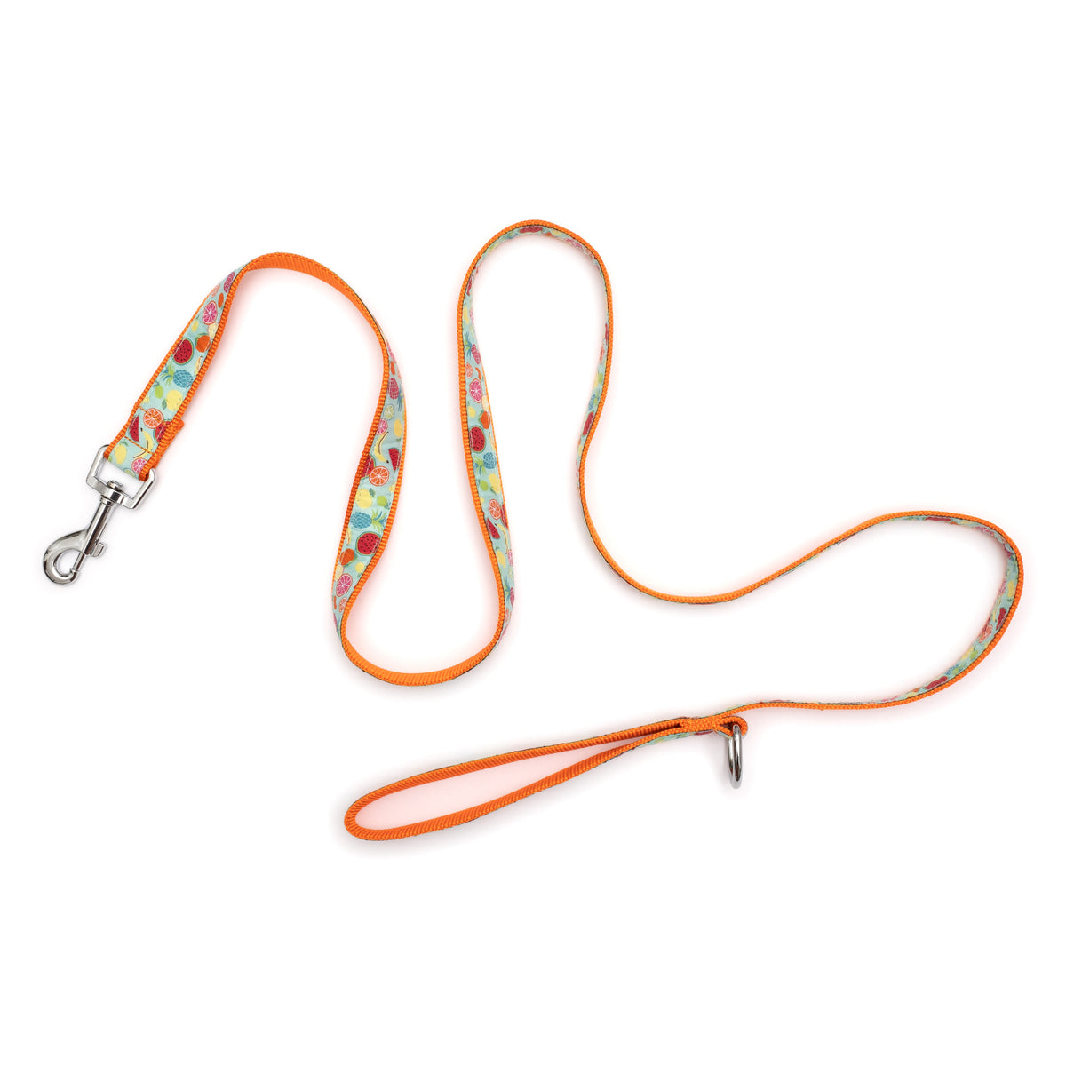 Tutti Frutti Dog Leash – Blue, Sizes S, L
