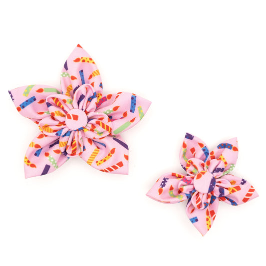 It's My Birthday Dog Flower – Polyester, Pink, Sizes S, L
