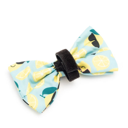 Lemons Dog Bow Tie – Polyester, Mint Green, Sizes S, L