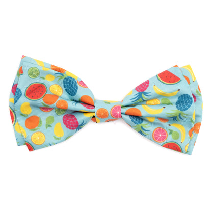 Tutti Frutti Dog Bow Tie – Polyester, Blue, Sizes S, L