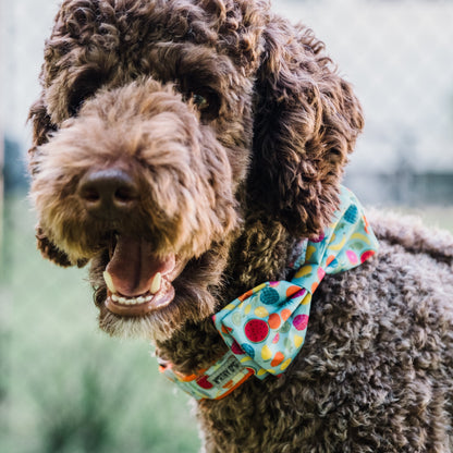 Tutti Frutti Dog Bow Tie – Polyester, Blue, Sizes S, L