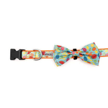 Tutti Frutti Dog Bow Tie – Polyester, Blue, Sizes S, L