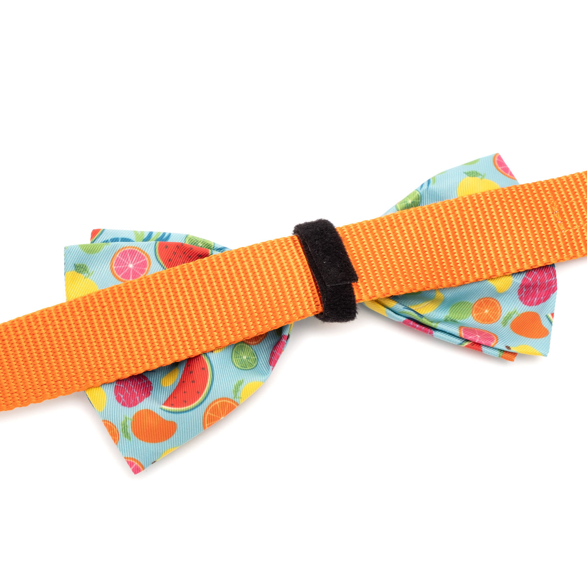 Tutti Frutti Dog Bow Tie – Polyester, Blue, Sizes S, L
