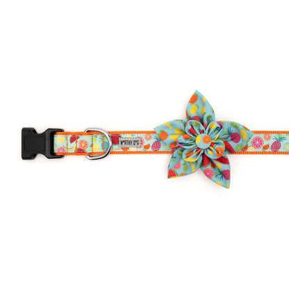 Tutti Frutti Dog Flower – Polyester, Blue, Sizes S, L