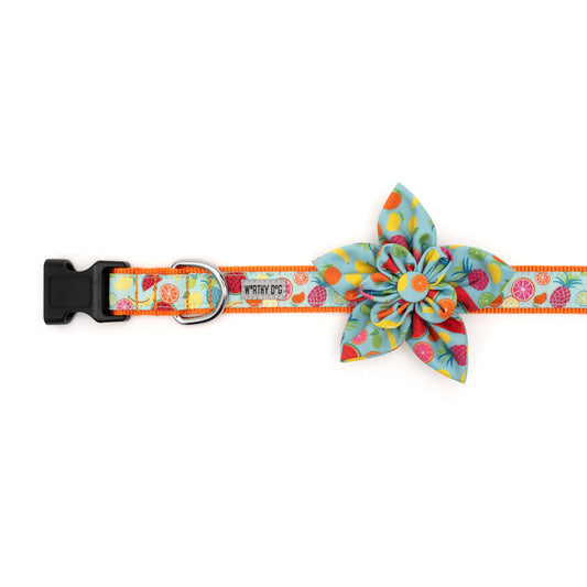 Tutti Frutti Dog Flower – Polyester, Blue, Sizes S, L