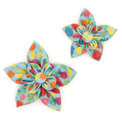 Tutti Frutti Dog Flower – Polyester, Blue, Sizes S, L