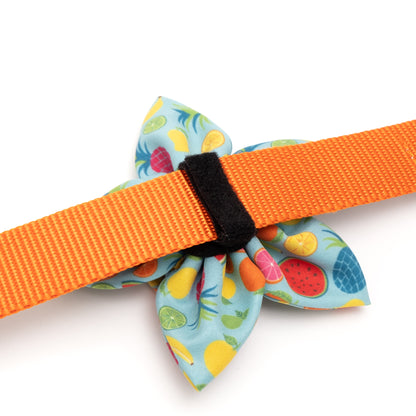 Tutti Frutti Dog Flower – Polyester, Blue, Sizes S, L