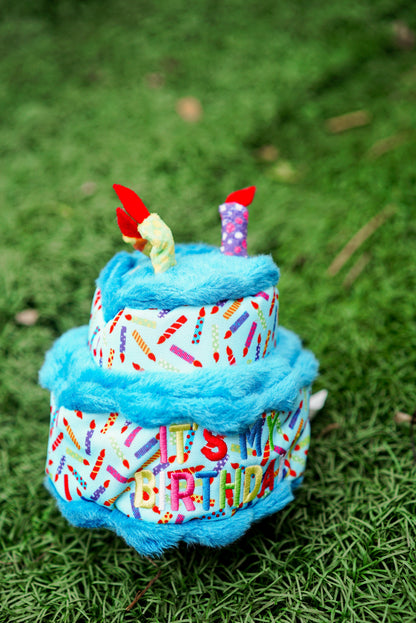 Birthday Cake Squeaky Dog Toy, Blue cake outdoors