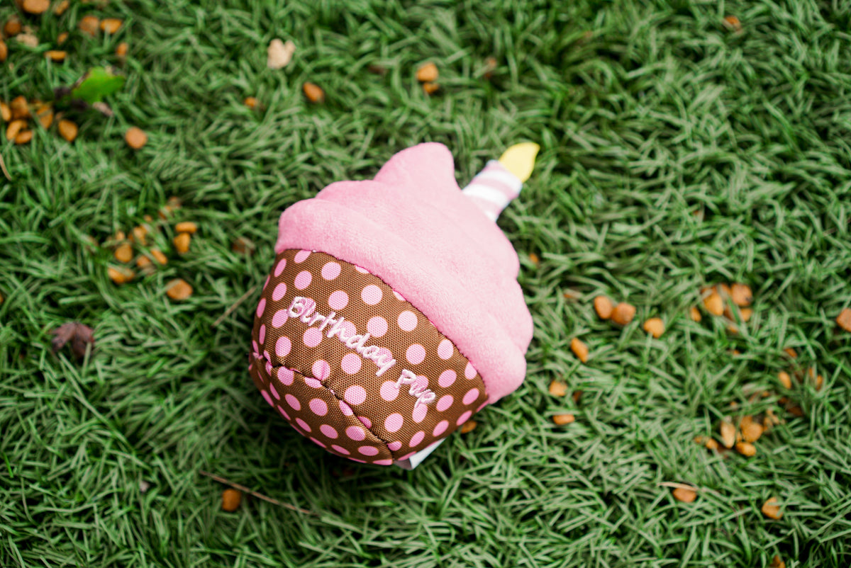 Birthday Pup Dog Toy – Blue & Pink, Size One Size