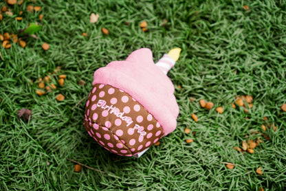 Birthday Pup Dog Toy – Blue & Pink, Size One Size