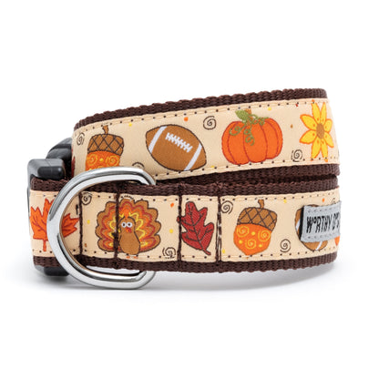 Fall Pumpkin Dog Collar in beige, main product view