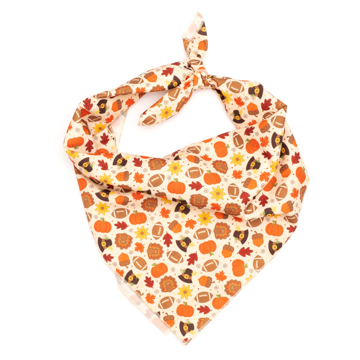 Fall Pumpkin Dog Bandana, beige, main product view