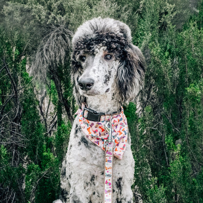 Wild Wild West Dog Bandana – Polyester, Beige, Sizes S, L