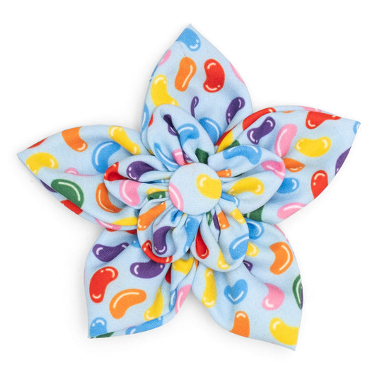 Jelly Beans Dog Flower – Polyester, Blue, Sizes S, L