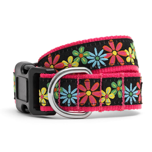 Black Floral Nylon Dog Collar in black, main product view