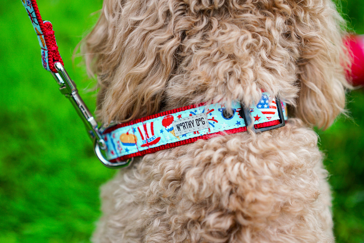 Independence Day Dog Collar – Blue, Sizes XS–XL