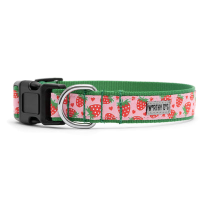 Pink Strawberry Print Nylon Dog Collar in pink, product view 2