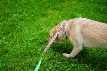 Strawberries pink ribbon and nylon dog leash, product view 4