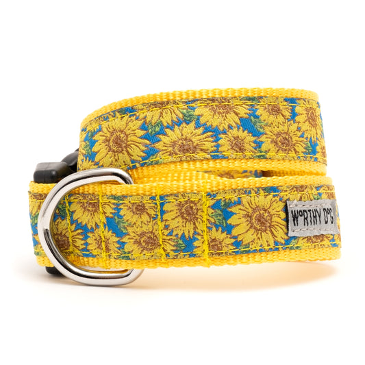 Yellow and Blue Sunflower Nylon Dog Collar in blue, main product view