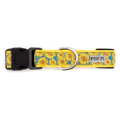 Yellow and Blue Sunflower Nylon Dog Collar in blue, product view 3