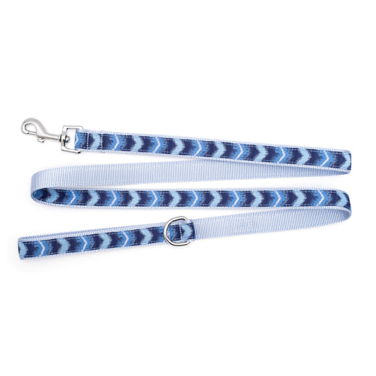 Ombre blue ribbon and nylon dog leash, product view 2