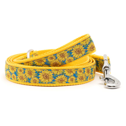 Sunflowers blue ribbon and nylon dog leash, coiled leash