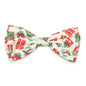 Presents Dog Bow Tie – Polyester, Green, Sizes S, L
