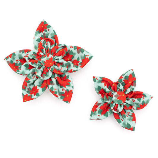 Poinsettias Dog Flower – Polyester, Green, Sizes S, L