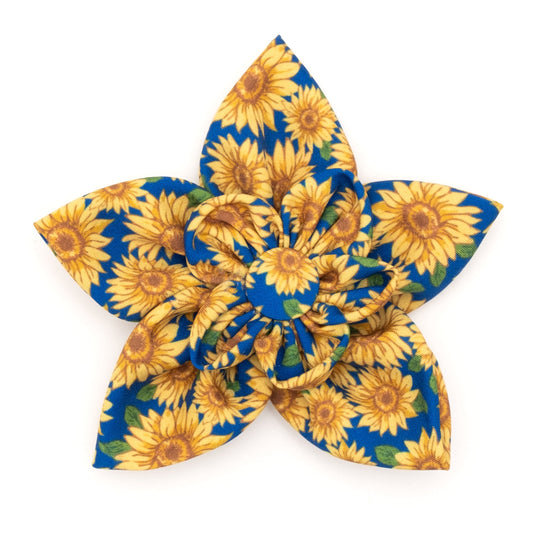 Sunflowers Dog Flower – Polyester, Blue, Sizes S, L