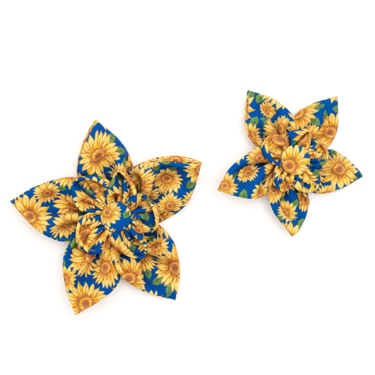 Sunflowers Dog Flower – Polyester, Blue, Sizes S, L
