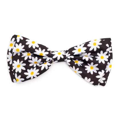 Lazy Daisy Dog Bow Tie – Polyester, Black, Sizes S, L