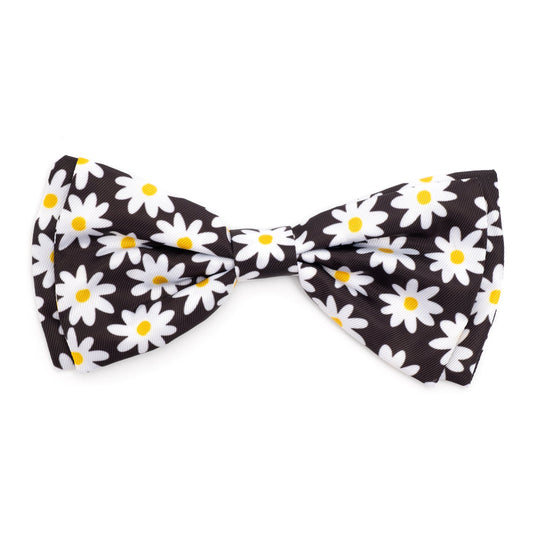 Lazy Daisy Dog Bow Tie – Polyester, Black, Sizes S, L