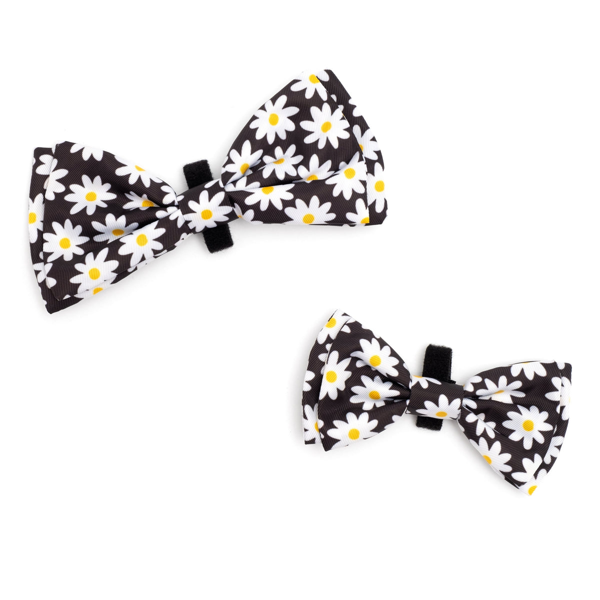 Lazy Daisy Dog Bow Tie – Polyester, Black, Sizes S, L