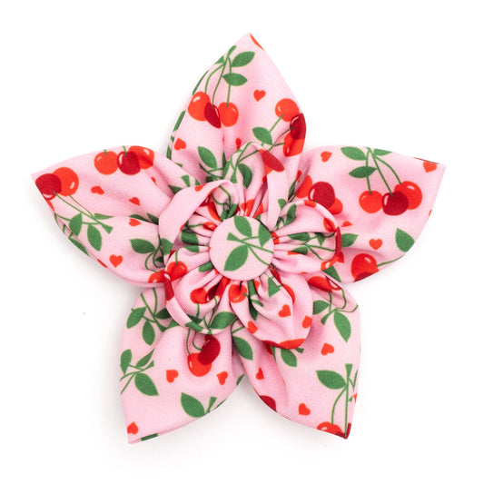 Cherries Jubilee Dog Flower – Polyester, Pink, Sizes S, L