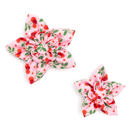 Cherries Jubilee Dog Flower – Polyester, Pink, Sizes S, L