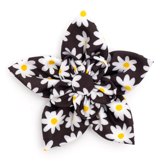 Lazy Daisy Dog Flower – Polyester, Black, Sizes S, L