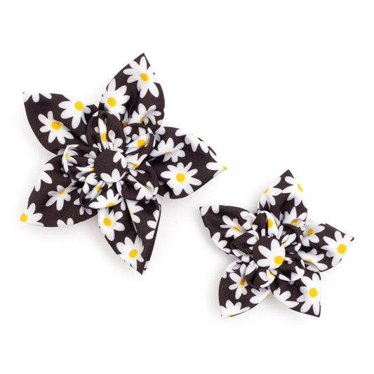 Lazy Daisy Dog Flower – Polyester, Black, Sizes S, L