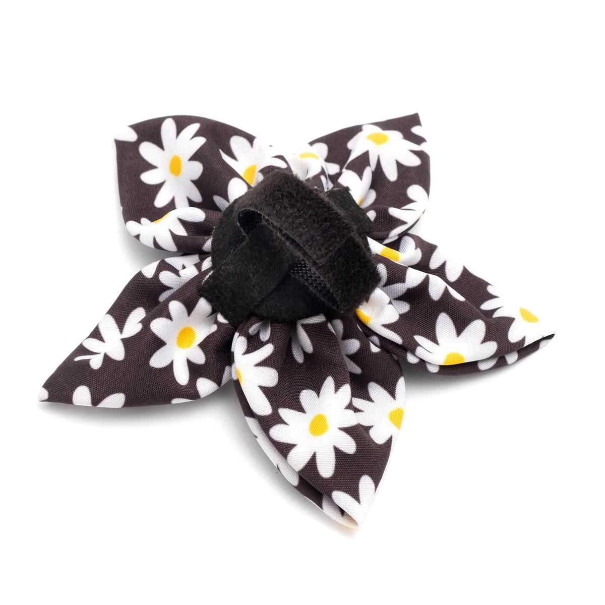 Lazy Daisy Dog Flower – Polyester, Black, Sizes S, L