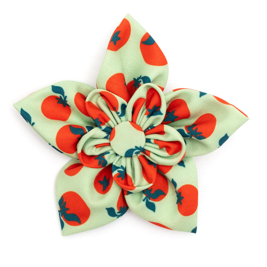 Tomatoes Dog Flower – Polyester, Green, Sizes S, L